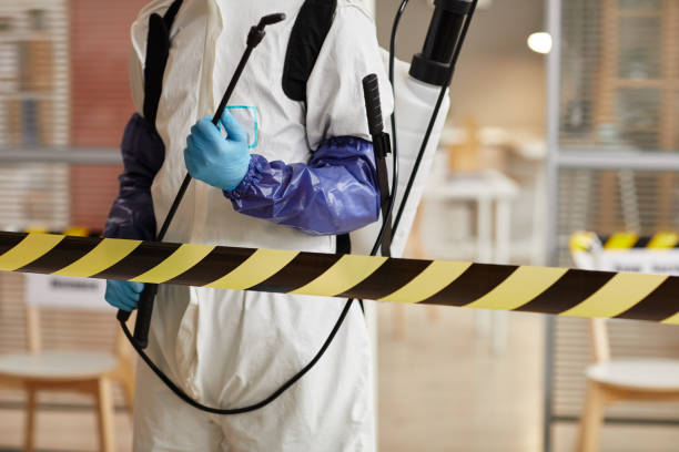 Professional Sewage Cleanup technician working in Morganton, GA
